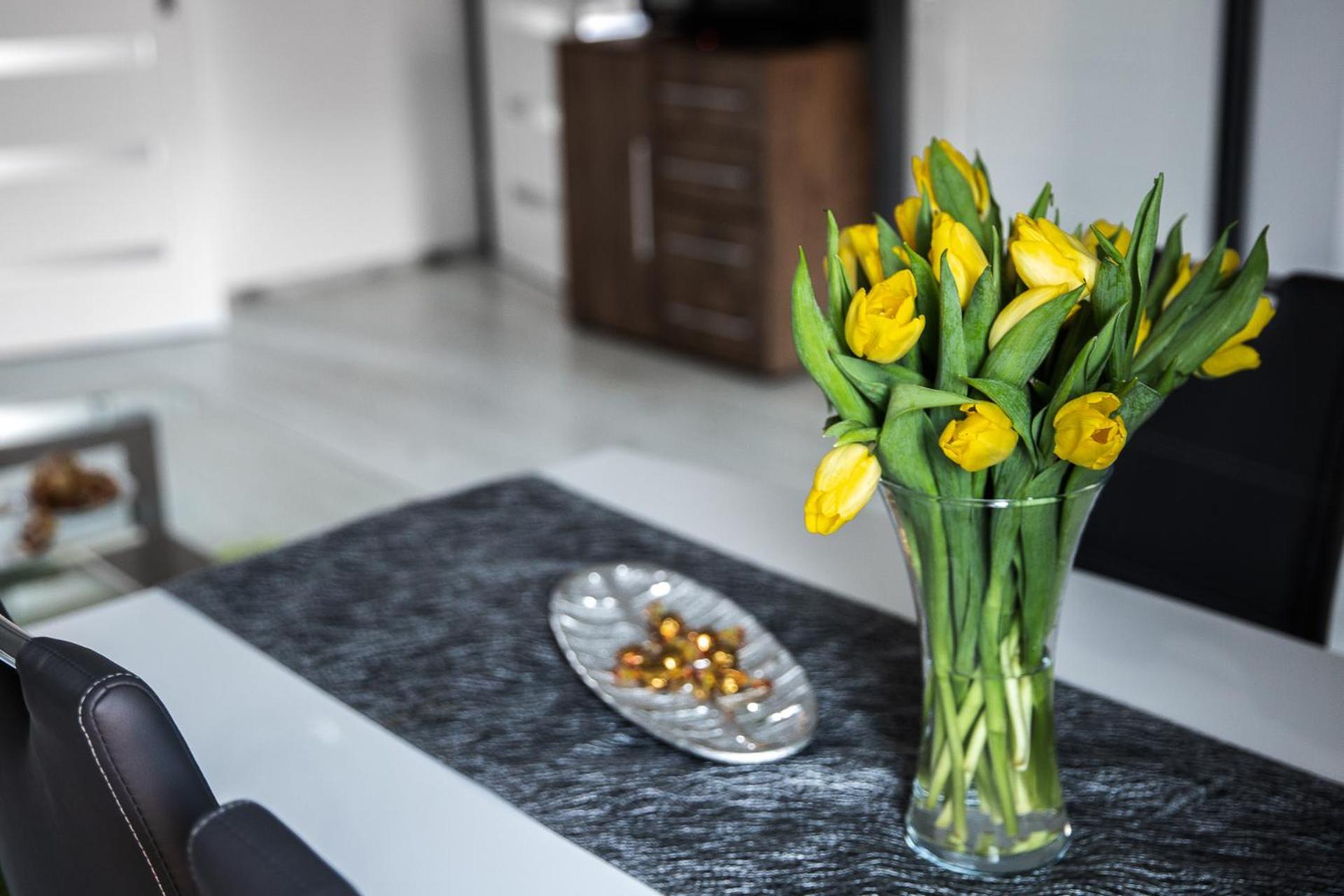 Apartament Szczesliwy ウストシキ・ドルネ エクステリア 写真